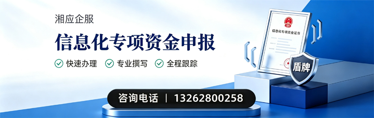 洛阳信息化专项资金申报服务