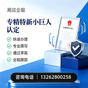 洛阳专精特新小巨人申报服务