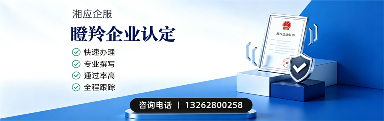 洛阳瞪羚企业认定申报服务