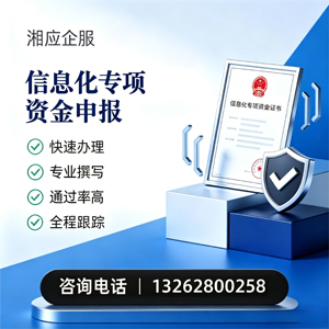 洛阳信息化专项资金申报服务