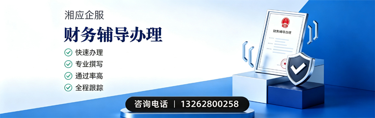 洛阳财务辅导申请服务