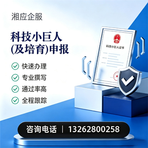 洛阳科技小巨人及培育企业申报服务