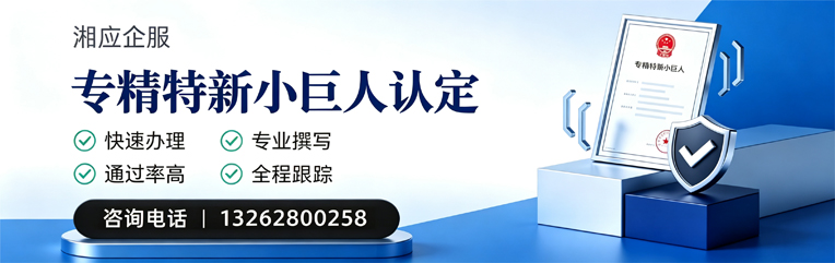 洛阳专精特新小巨人申报服务